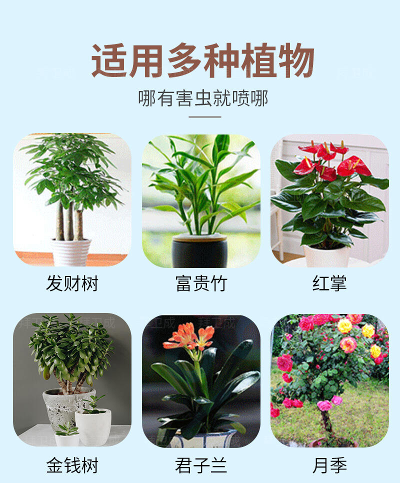 如何选择家用植物除虫喷雾 灭飞虫、保护绿植的全面指南